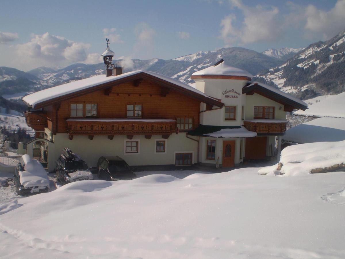 Landhaus Gruber Winter ألبيندورف المظهر الخارجي الصورة