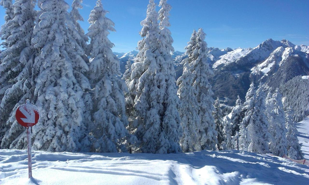 Landhaus Gruber Winter ألبيندورف المظهر الخارجي الصورة
